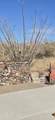 004K Hardt Tank Road - Photo 12