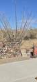 004K Hardt Tank Road - Photo 25