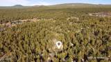 580 Walnut Creek Loop - Photo 21