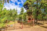 580 Walnut Creek Loop - Photo 23