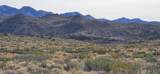 xxxx Knight Creek Road - Photo 4