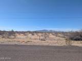 51405 Pampas Grass Road - Photo 4