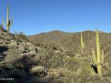 43252 Chiricahua Pass - Photo 3
