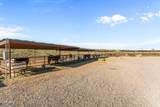 37780 Camino Blanco Road - Photo 39