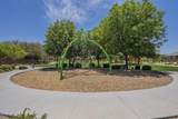 22463 Desert Spoon Drive - Photo 30