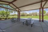 22463 Desert Spoon Drive - Photo 34