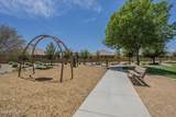 22463 Desert Spoon Drive - Photo 36