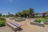 22463 Desert Spoon Drive - Photo 38