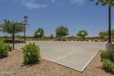 22463 Desert Spoon Drive - Photo 41