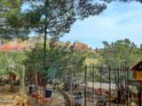 215 Mountain Shadows Drive - Photo 48
