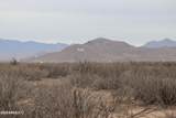 TBD Iron Rose Road - Photo 2