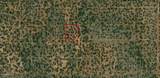 731 Snowdrift Road - Photo 4