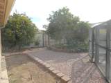 8437 Rose Pilar Court - Photo 15