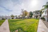 10539 Palmeras Drive - Photo 20