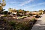 10157 Sand Sage Trail - Photo 47