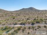12011 Mountain Shadows Drive - Photo 12