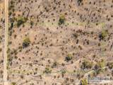 12011 Mountain Shadows Drive - Photo 2