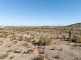 12011 Mountain Shadows Drive - Photo 3