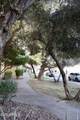 1425 Desert Cove Avenue - Photo 4