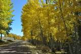 37 1330 - Photo 30