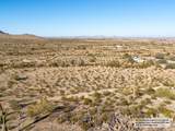 11673 Mountain Shadows Drive - Photo 13