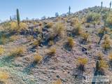 11673 Mountain Shadows Drive - Photo 14