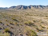 11673 Mountain Shadows Drive - Photo 15