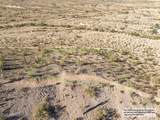 11673 Mountain Shadows Drive - Photo 17