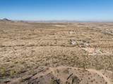 11673 Mountain Shadows Drive - Photo 19
