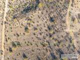 11673 Mountain Shadows Drive - Photo 3