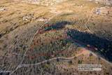 11673 Mountain Shadows Drive - Photo 4