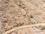 11979 Mountain Shadows Drive - Photo 10