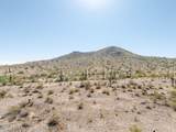 11979 Mountain Shadows Drive - Photo 12