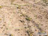 11979 Mountain Shadows Drive - Photo 6