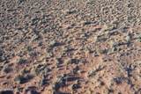 7742 Quartzsite Street - Photo 25