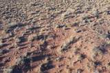 7742 Quartzsite Street - Photo 30