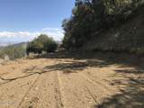 22431 Gladiator Mine Road - Photo 6