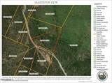 22431 Gladiator Mine Road - Photo 8