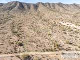 11995 Mountain Shadows Drive - Photo 10