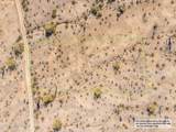 11995 Mountain Shadows Drive - Photo 12