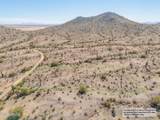 11995 Mountain Shadows Drive - Photo 3