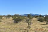 524xx Organ Pipe Road - Photo 5