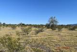 524xx Organ Pipe Road - Photo 7