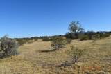 524xx Organ Pipe Road - Photo 9