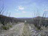 405-77-109 Wilderness Trail - Photo 1