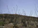 405-77-109 Wilderness Trail - Photo 3