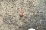 X20 Horseshoe Trail - Photo 11