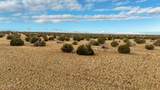 TBD Shumway Rd - Lot 2 - Photo 10