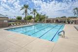 14405 Cholla Canyon Drive - Photo 15