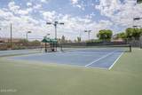 14405 Cholla Canyon Drive - Photo 19